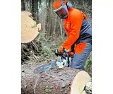 Бензопила Holzfforma G366 PRO 18" 15