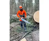 Бензопила ZimAni MS460 20' 8