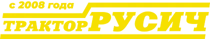 Русич